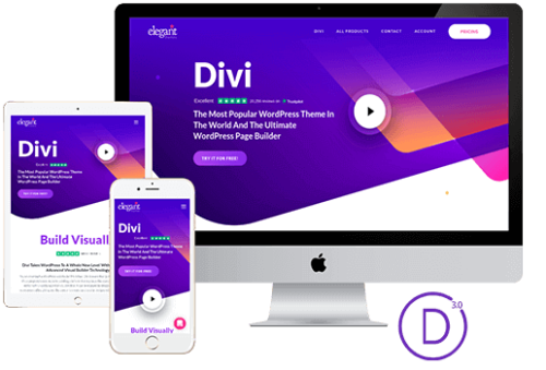 Divi theme