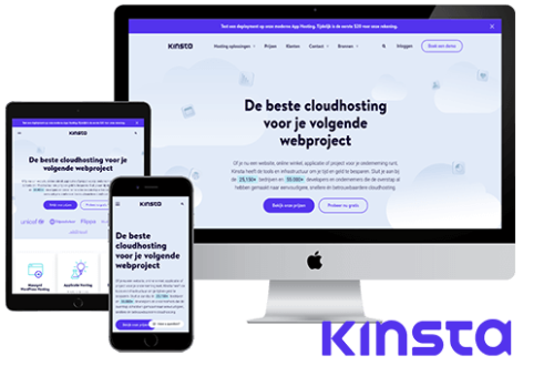 Kinsta WordPress hosting