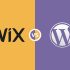 Jimdo of WordPress